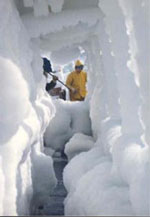Image of NOAA Ship Miller Freeman in
the Bering Sea - Click to Enlarge